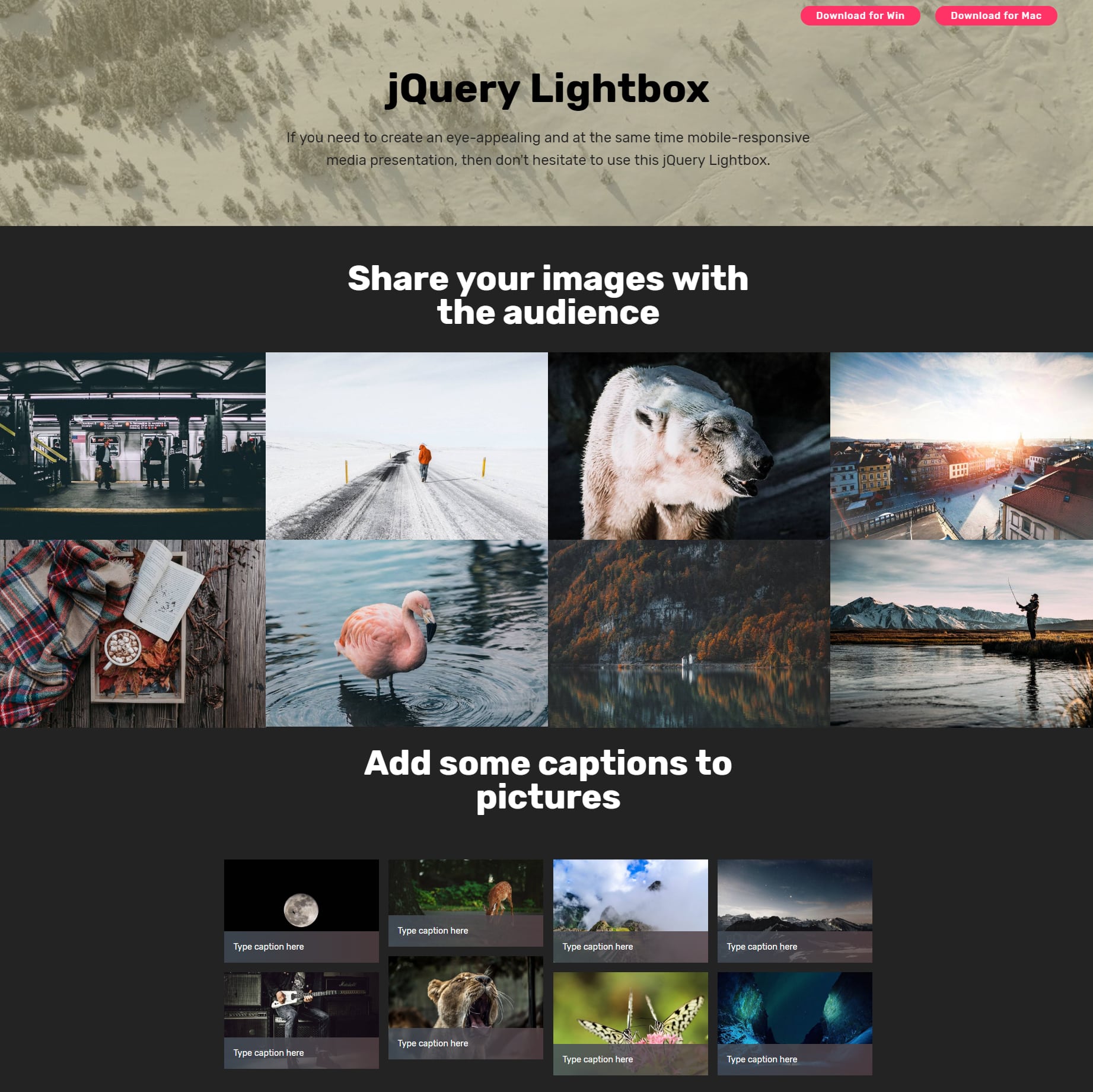 CSS3 Bootstrap Picture Gallery