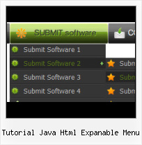 Javascript Select Submenus Arrow HTML Codes Radio